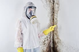 Best Industrial Mold Remediation  in Wildwood Lake, TN